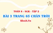 Bài 3 trang 65 Toán 8 Chân trời sáng tạo Tập 2